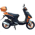 Tria 50