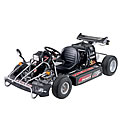 F-Kart 100