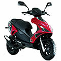 491 RR 50 (03-) [Morini]