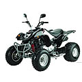 Skywalker 250R