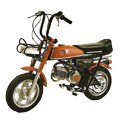 Mini 50
