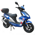 Polly 125