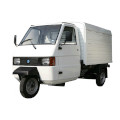 Ape 220 2T MPV2T