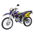 RR 50 Sport 05 (AM6)