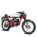 ACE 50