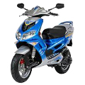 Speedfight 2 50 AC Motorsport S1BAGA