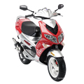 Speedfight 2 50 AC Rally Victories S1BAGA