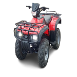 Bashan BS250S-5