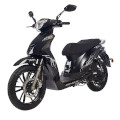 Trevis 50 2T