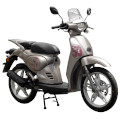 Alex 50 4T