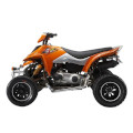 X-Fire 300 Quad (Piaggio Motor)