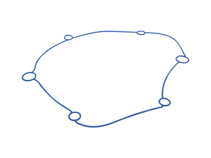 Motor - Těsnění krytu převodovky Polini Evolution Gear Box pro Minarelli horizontální dlouhé