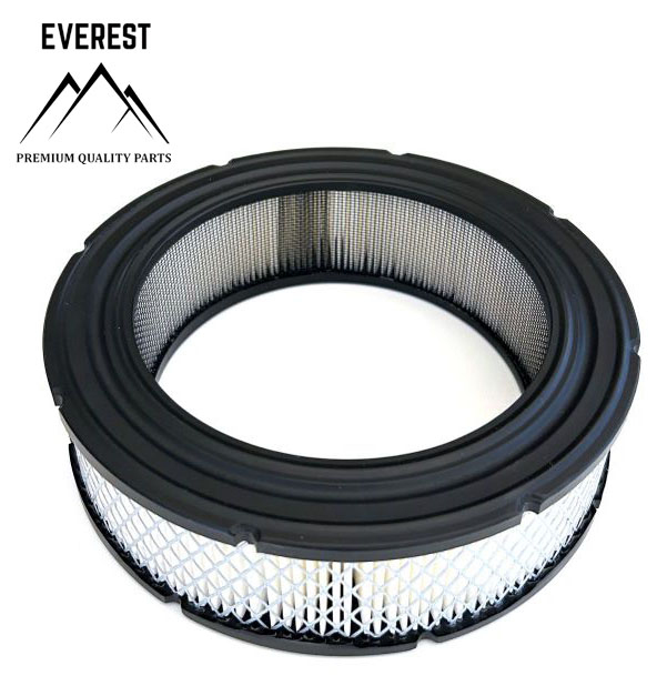 Zahradní technika - VZDUCHOVÝ FILTR BRIGGS&STRATTON VANGUARD 692519 EVEREST