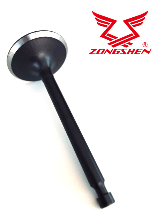 Zahradní technika - Sací ventil ZONGSHEN XP420