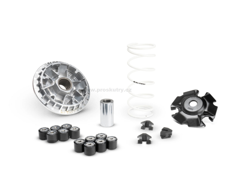 Variátor a spojka - Variátor Malossi Multivar 2000 pro Honda PCX 125 ie 4T LC E5 od roku 2021