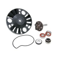 Vodní pumpa pro Aprilia, Gilera, Piaggio, Vespa 125-200cc 4T 2001-2006  (100110070)