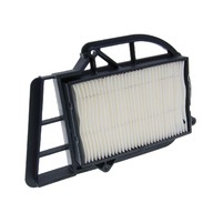 Vzduchový filtr variátoru pro Yamaha Majesty 250  (100602421)