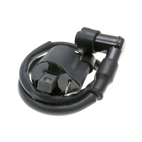 Zapalovací cívka pro Generic Trigger