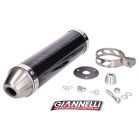 Zadní tlumič Giannelli Carbon pro Yamaha TZR 50 04-15