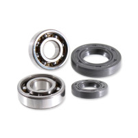 Sada ložisek a gufer RMS pro Derbi 50ccm