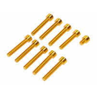 Sada šroubů DPR M6 zlatě eloxovaná pro kryt motoru pro Simson S50, S51, S70, S53, S83 Enduro