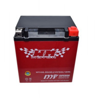 Baterie WM WTX30L-BS (YTX30L-BS) (GELOVÁ) 12V pro Čtyřkolky, Linhai, CF-Moto  FIX30L-BS, YIX30L-BS, B30L-B   71604
