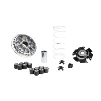 Variátor Malossi Maxi Multivar pro Honda PCX 125i 4T E5 2021-> (20x17) JK05e