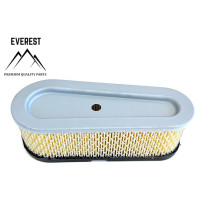 VZDUCHOVÝ FILTR BRIGGS&STRATTON 1 VÁLEC VÝKON 10KM-15KM SLZA NÍZKÝ EVEREST