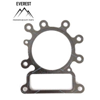 TĚSNĚNÍ HLAVY BRIGGS&STRATTON 10KM-14KM OHV AVS EVEREST