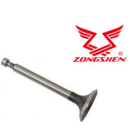 Sací ventil Honda GX160 GX200