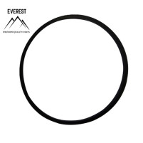 TĚSNĚNÍ BRIGGS&STRATTON 693981 EVEREST