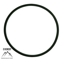 TĚSNĚNÍ BRIGGS&STRATTON 281165S EVEREST