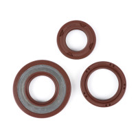 Sada těsnění hřídele motoru BGM PRO, FKM/Viton® (odolné vůči E10) Vespa Smallframe 19mm V50, PV125, ET3, PK50, PK80, PK125 S