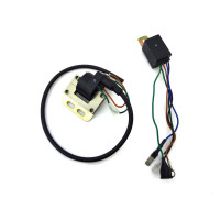 Zapalovací cívka CDI 12 V pro Hercules, Prima Optima Mx1 (0283 124 201.