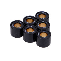 Válečky variátoru Top Racing 16x13mm - 6,0g   6 kusů