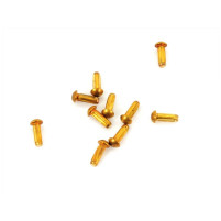 Mosazné drážkované nýtky 2x8 mm pro Kreidler, Florett 10 kusů  00.58.17