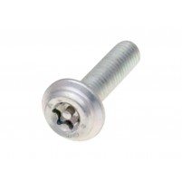 Šroub OEM M6x25 TORX