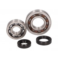 Sada ložisek klikového hřídele pro Aprilia Scarabeo, Piaggio Liberty, Zip, Vespa ET4 50 4T (1.série, 25 mm)