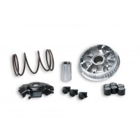 Variátor Malossi Maxi Multivar Peugeot Elyseo 125-150 4T (20x17)