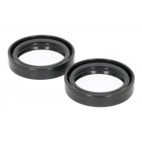 Gufera 41x54x11 pro Derbi Senda 18, Aprilia RX / SX 18, RST Futura, RSV 2, RSV 4, SL Falco, Tuono V2 1000