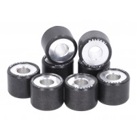 Válečky variátoru Malossi HT 25x19mm 8 kusů - vyberte z nabídky: