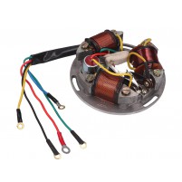 Stator pro Piaggio Vespa GT GTR Super Sprint TR 50 125 150cc  (246350433)