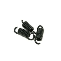 Spojkové pružinky Malossi MHR Maxi Delta 2.5mm pro Gilera Runner 125, 180cc 2T