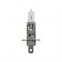 Žárovka bílá H1 12V 55W