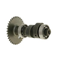 Vačkový hřídel Power Cam pro Honda, Piaggio, Peugeot