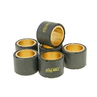 Válečky variátoru sada - 29x22 - 32.50g - 6 kusů