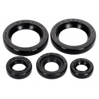 Sada gufer motoru Athena pro KTM Duke, RC 125, 200 11-16