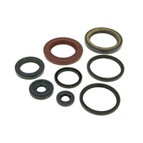 Sada gufer pro Suzuki AN Burgman 250 1998-2002