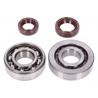 Sada ložisek klikového hřídele Naraku SKF / FKM Premium C3/C4 kovová klec pro Peugeot vertikální válec Euro 2