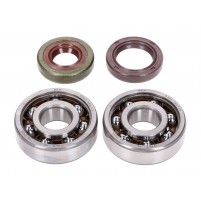 Sada ložisek klikového hřídele Naraku SKF, FKM Premium C4 Polyamid pro Minarelli AM6